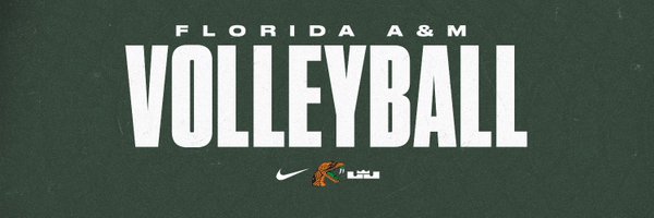 FAMU_VB Profile Banner
