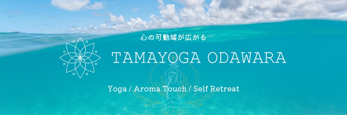 tamaki_mo's profile banner image