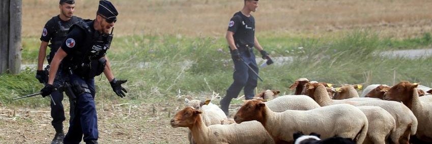Cécile de Sèze banner