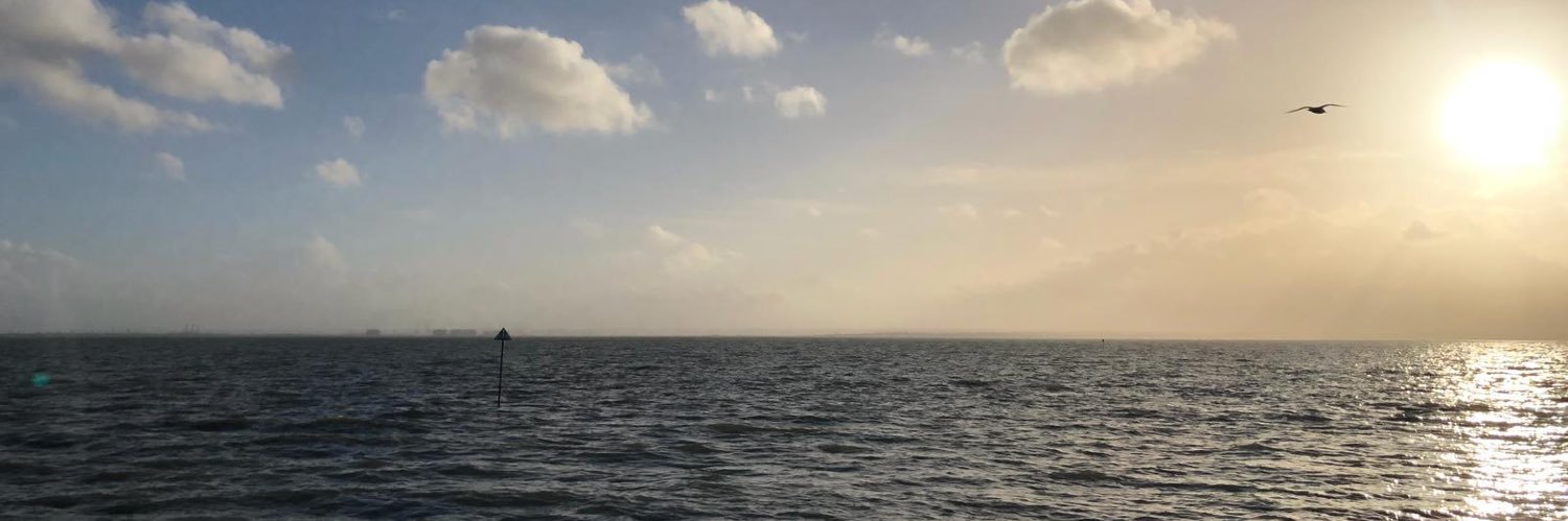 sashacoops's profile banner image