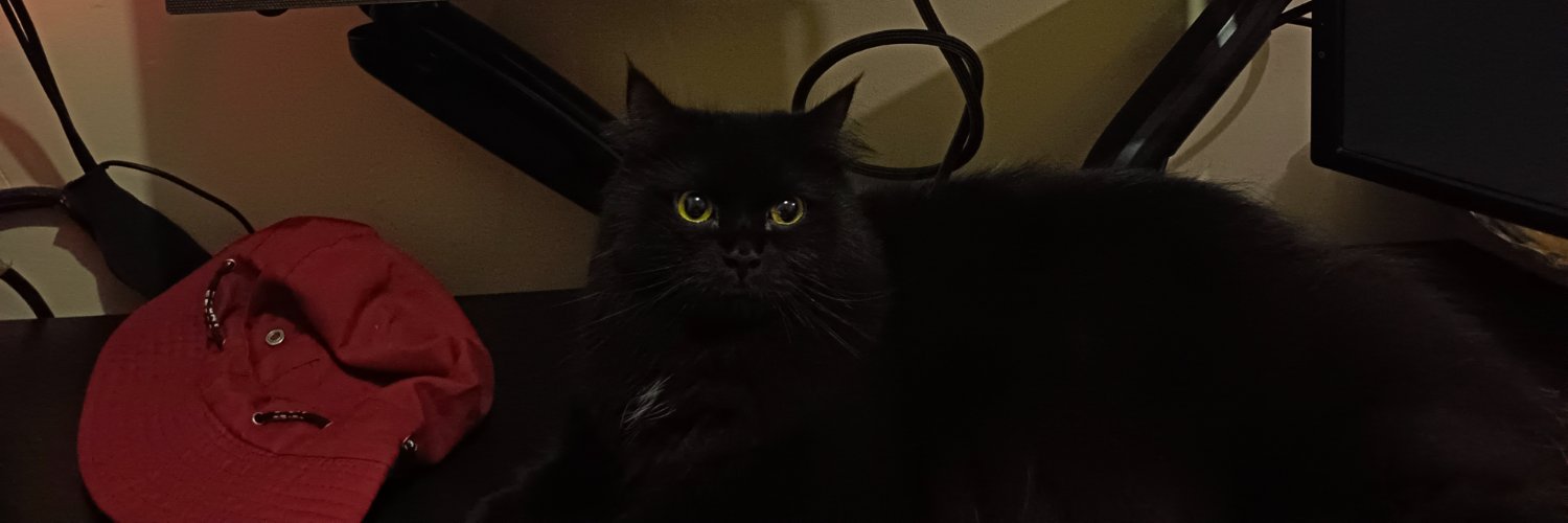 guntanksinspace's profile banner image