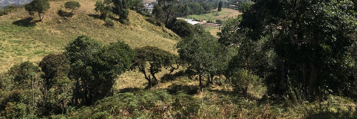 Juan Manuel Pardo Garcia banner