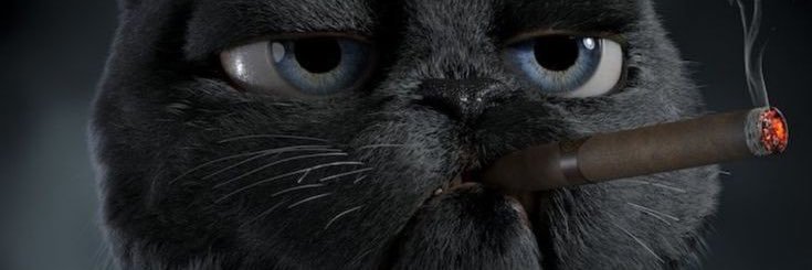 DilanBalc9's profile banner image