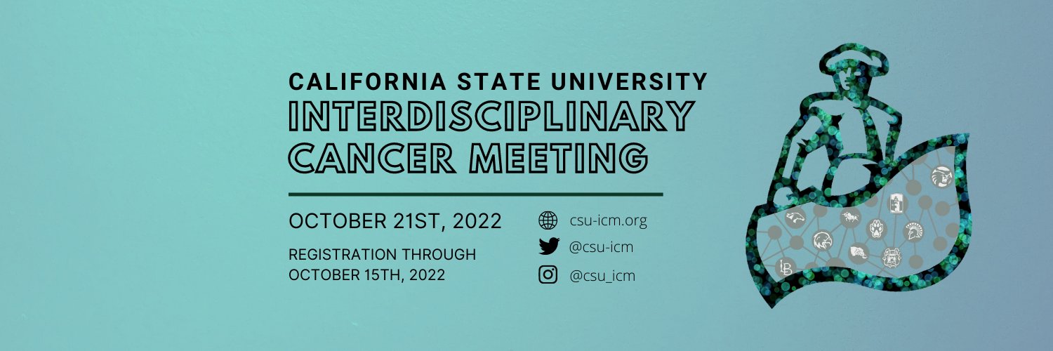 @csu-icm banner