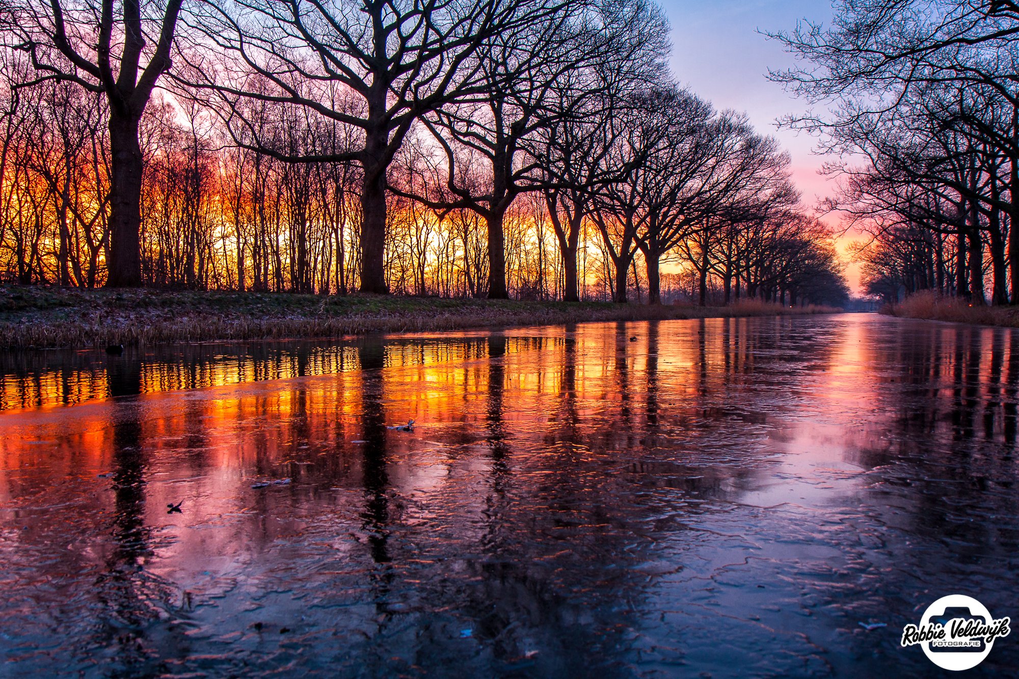 Robbie Veldwijk banner