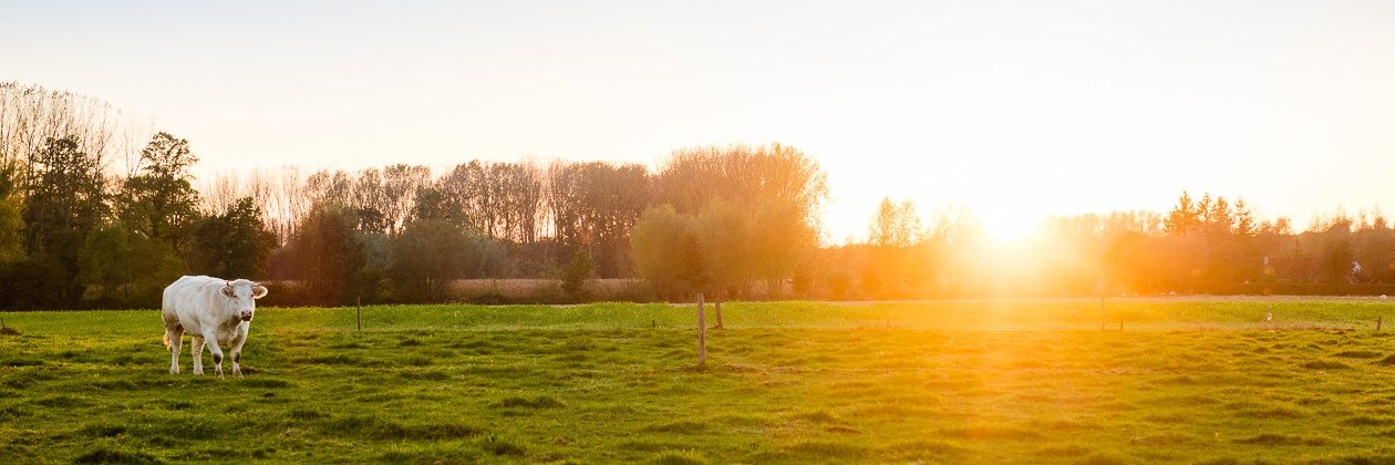 Gemeente Merelbeke banner