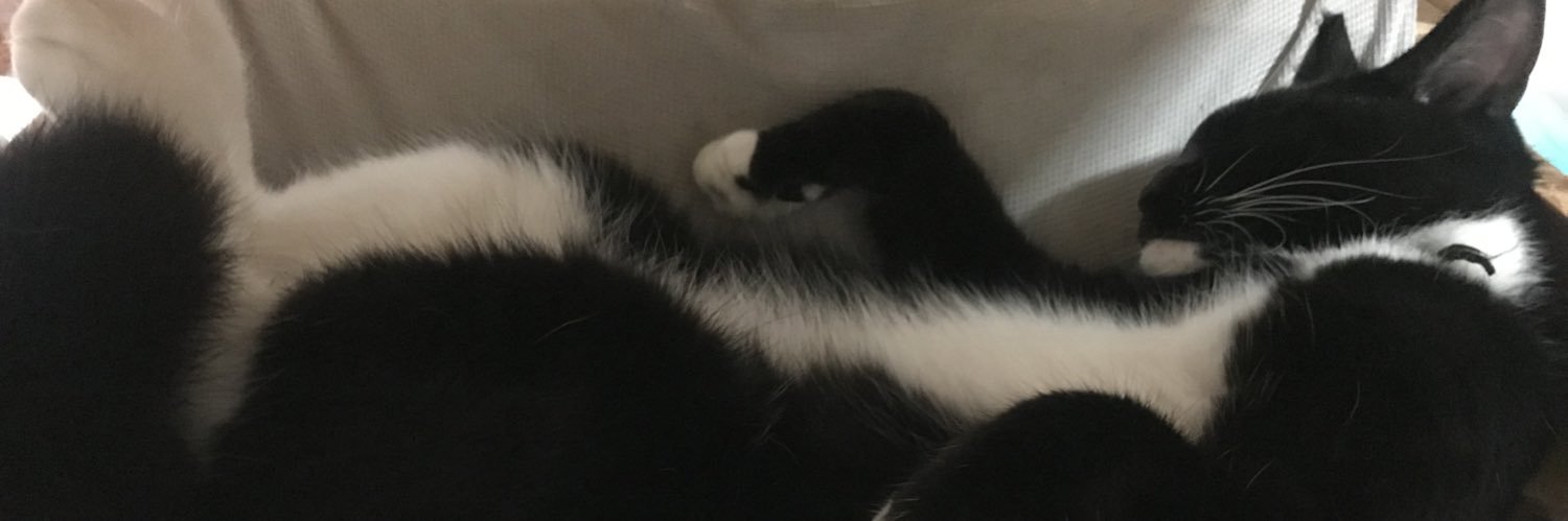 nsr3's profile banner image