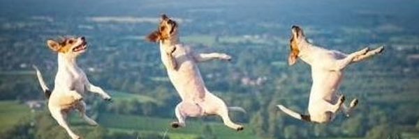 em_bould Profile Banner