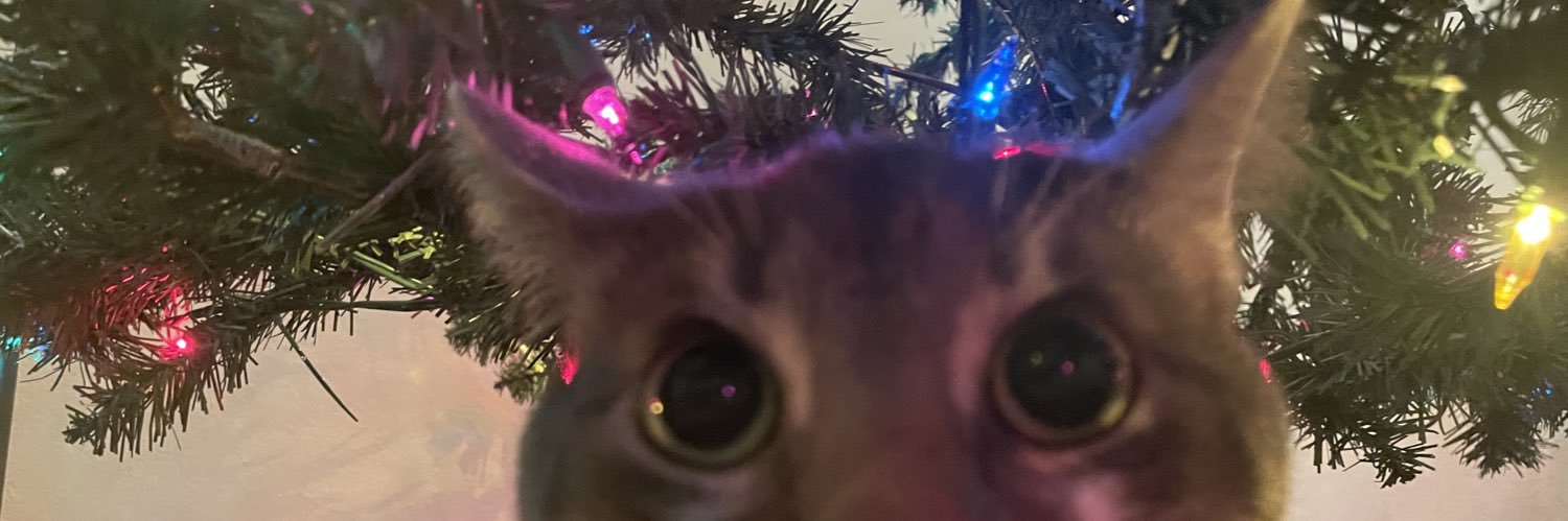 jcribbs65's profile banner image