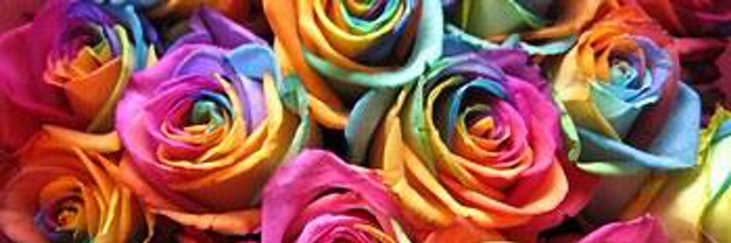 Jessy241998's profile banner image
