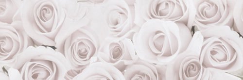 amber_nuvy's profile banner image