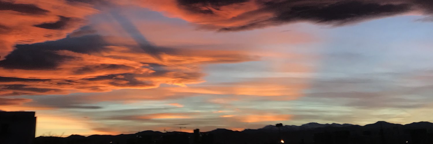 David Fitzgerald banner