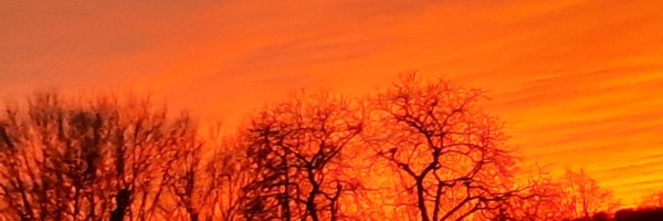 Robby68142735 Profile Banner