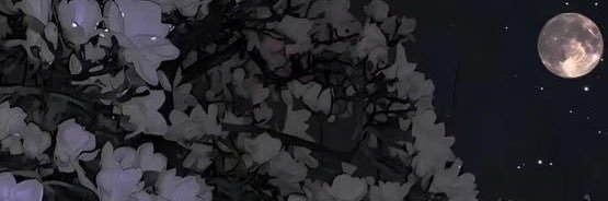afterviolet_'s profile banner image