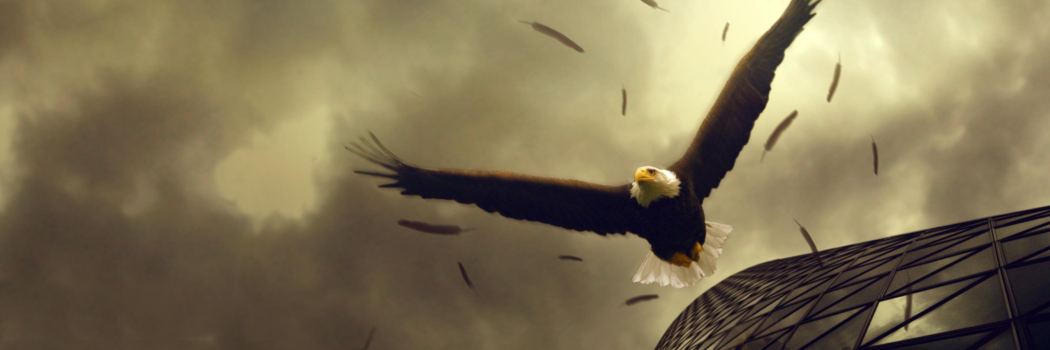 VishalYd's profile banner image