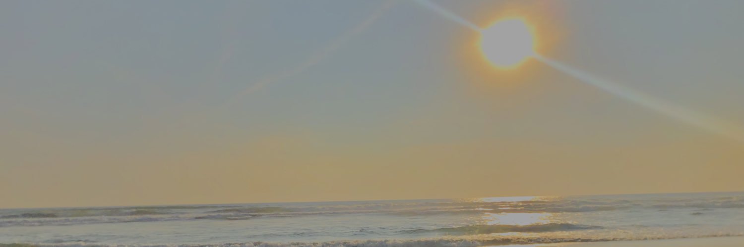 Gabriella banner