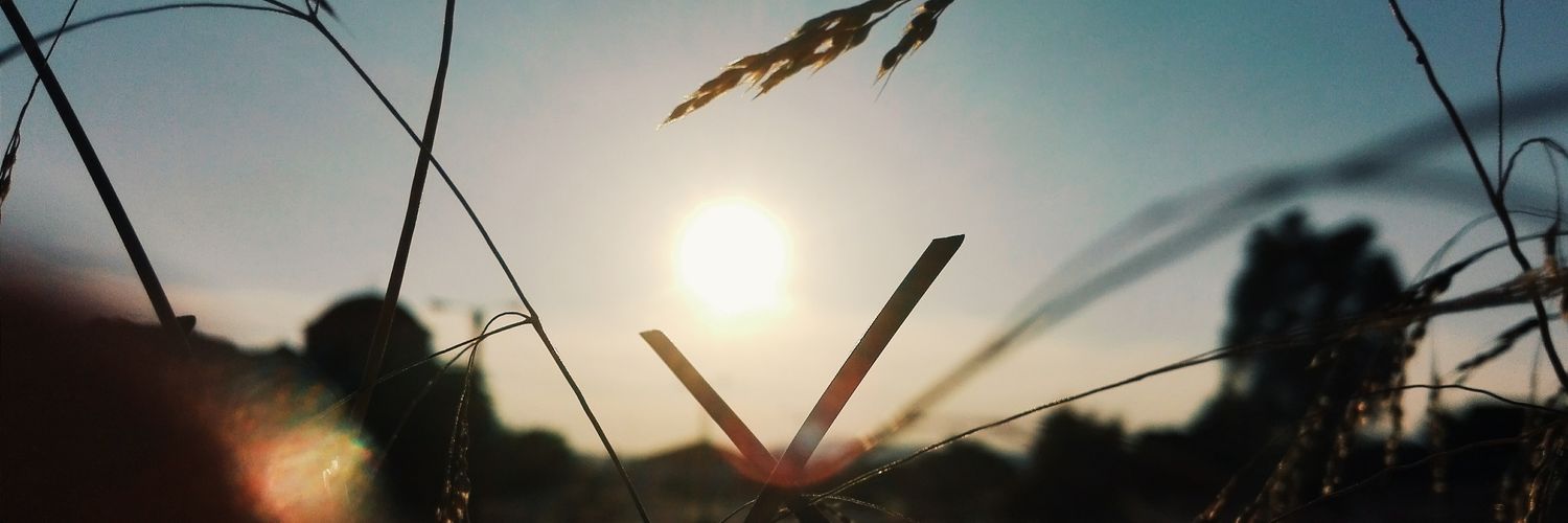 janaprifti's profile banner image