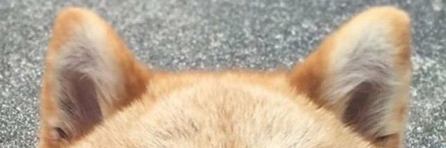 ลูกคลื่น🌊 ไม่ว่าง banner