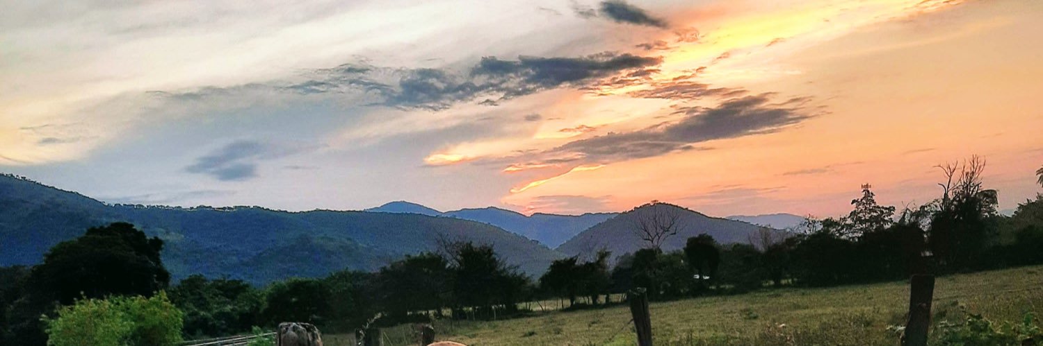 OrtizDelmi's profile banner image