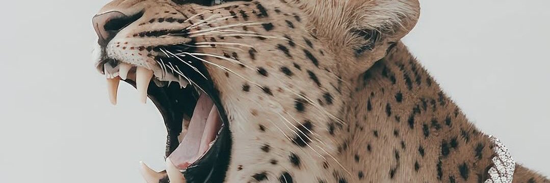 vsvp_adnann's profile banner image