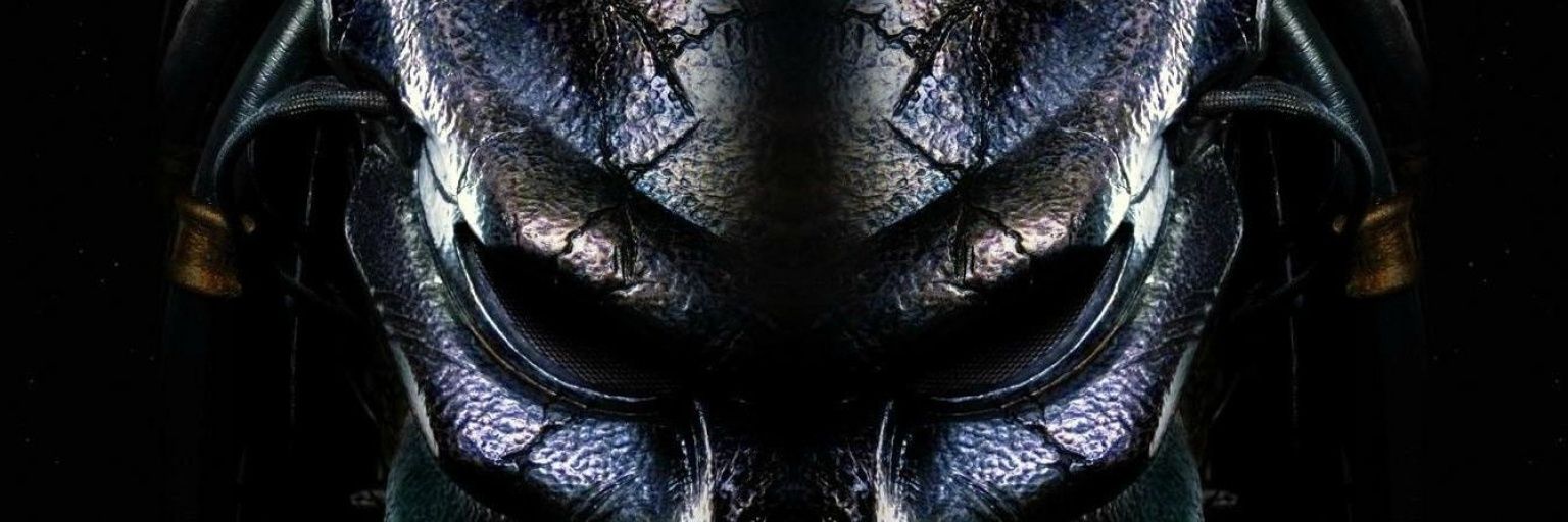 Marinn banner