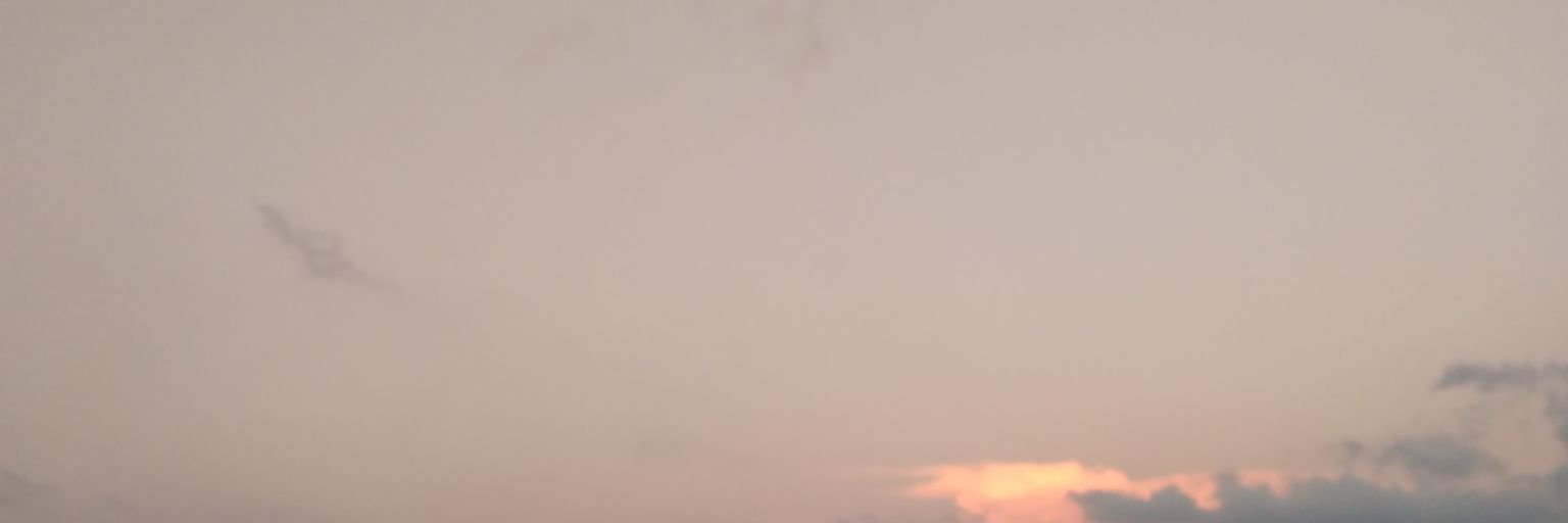 tangmo_morad's profile banner image