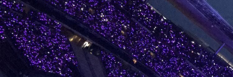 wendoute 🌸 banner