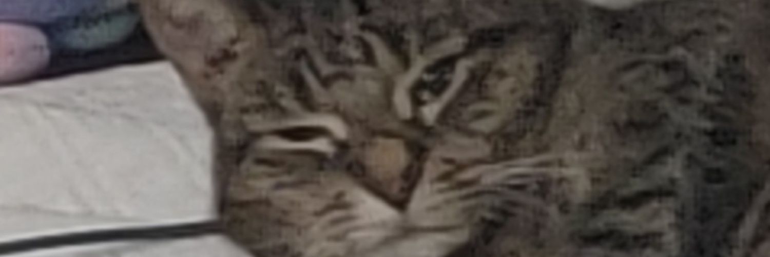EthanolB's profile banner image