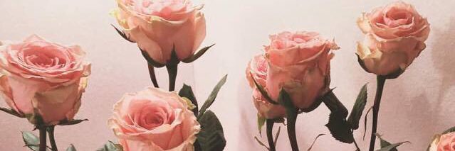 kyra_franks's profile banner image