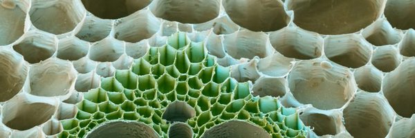 AntoninCros2 Profile Banner