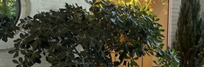moedayo010's profile banner image