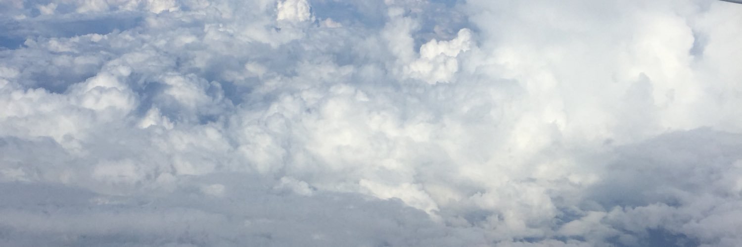 Luis A. Russi M. banner