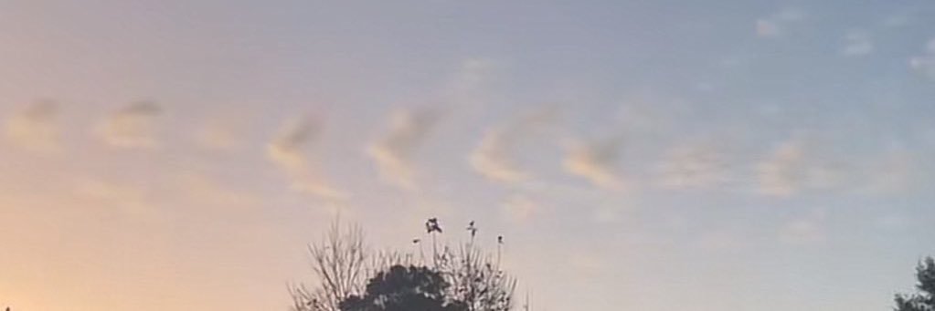 mon ❯❯❯❯ banner