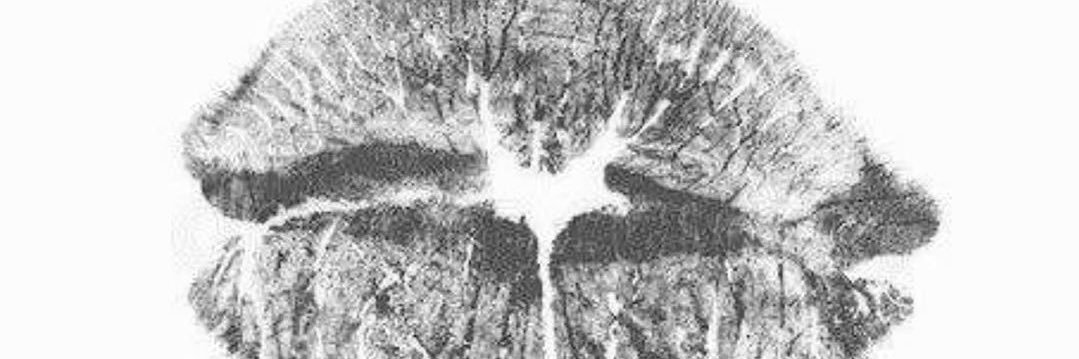 florturello's profile banner image
