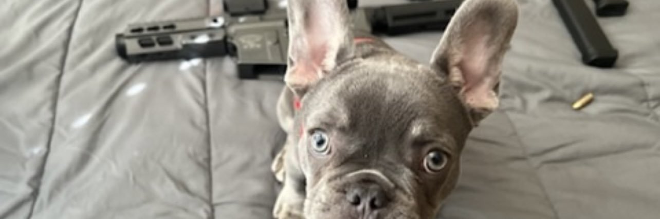 trapinterps's profile banner image