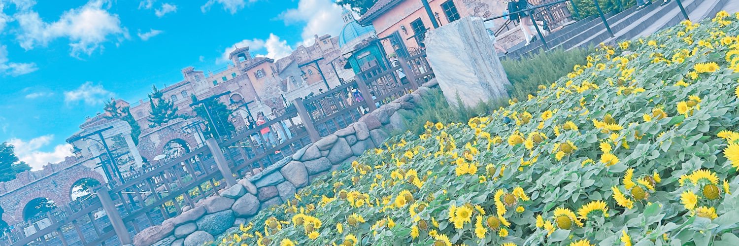 poqueee's profile banner image