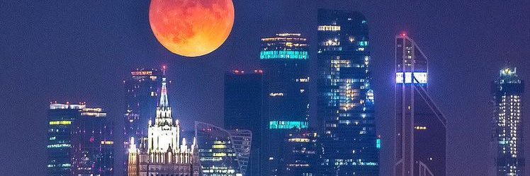 AlenaYkima's profile banner image