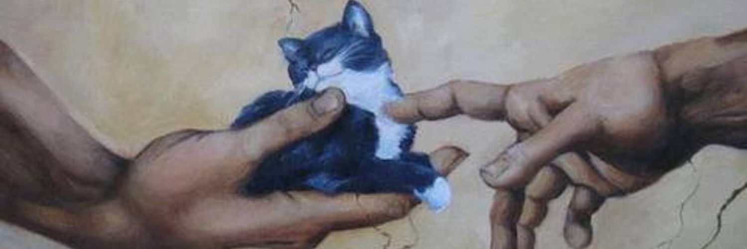 AzulPachecoH's profile banner image