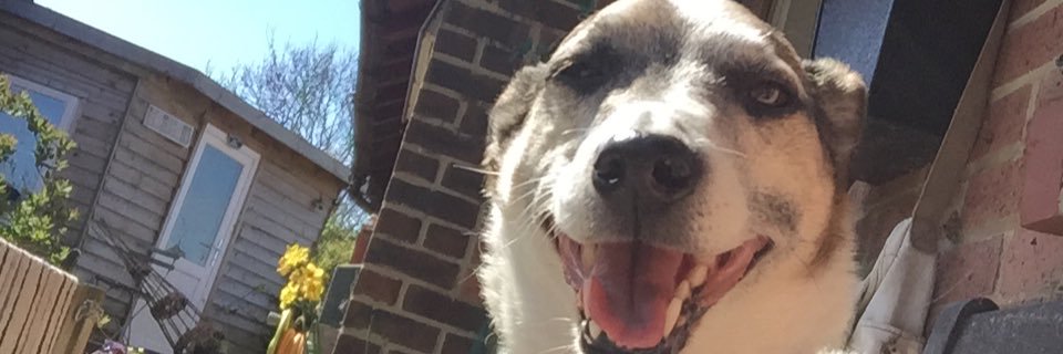 oabaitup's profile banner image