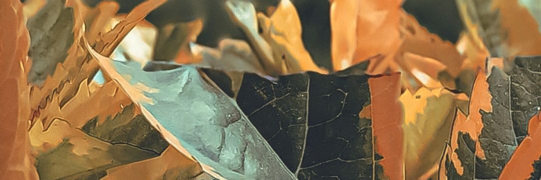 apurejow89's profile banner image