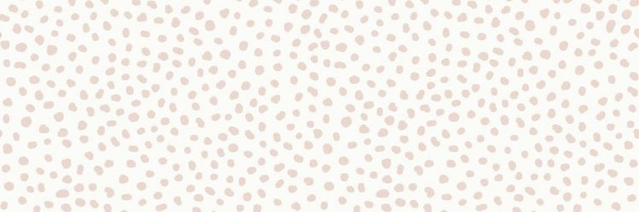 olson_alliee's profile banner image