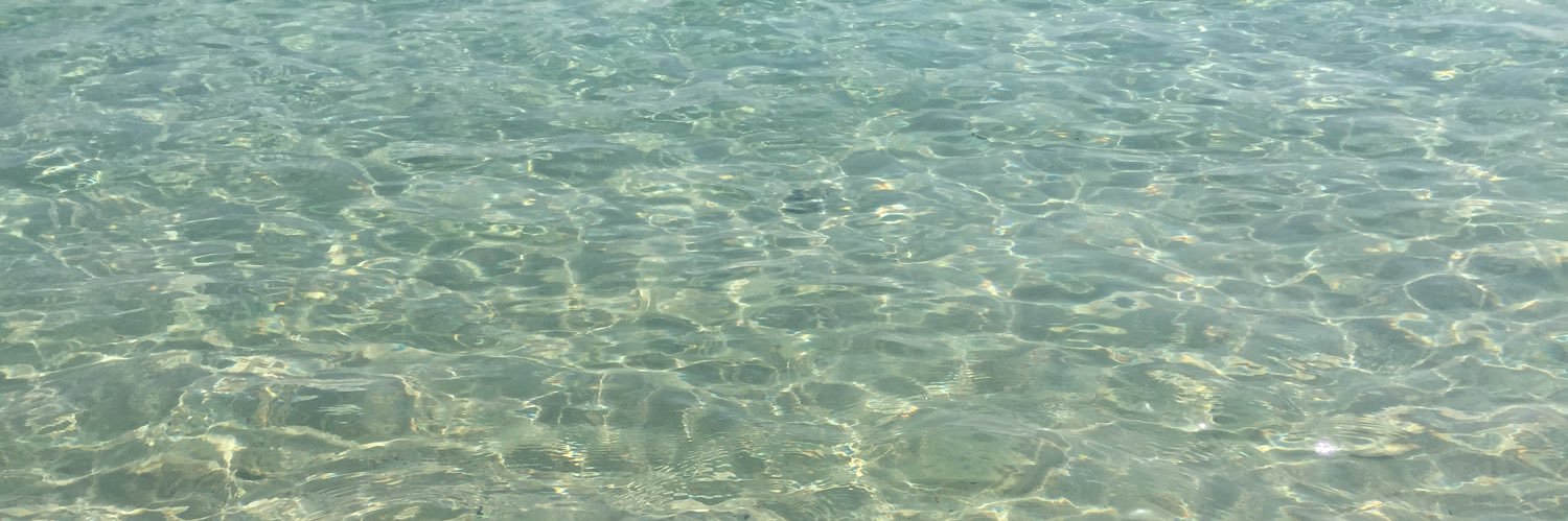 ซาชิมิ ซุชิ เทมปุระ banner