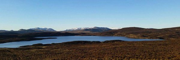 CPschenyckyj Profile Banner