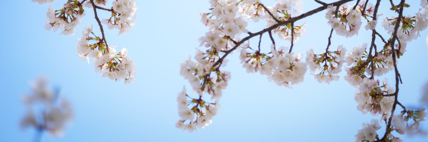 すぬさん banner