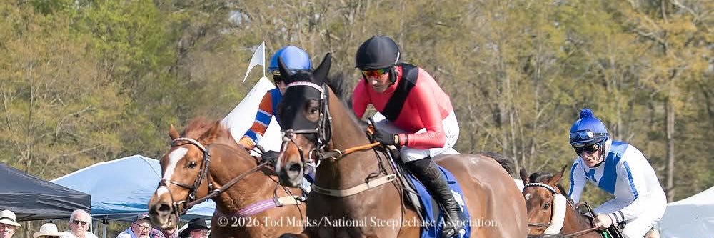 Kerry Hartley (wegzy) banner