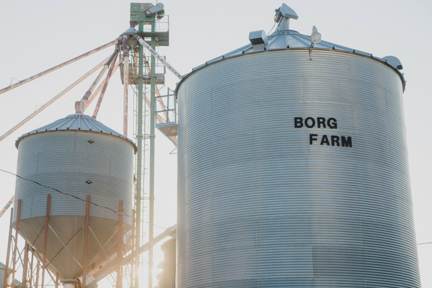 Hannah Borg banner