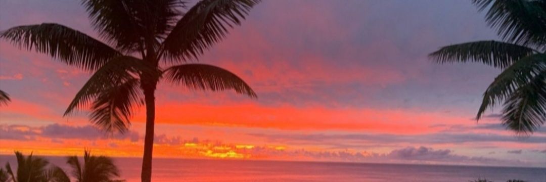 NathanHipa's profile banner image
