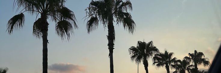blueeblogg's profile banner image
