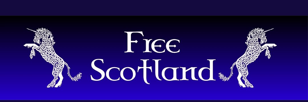 Dippy and Wyse 🏴󠁧󠁢󠁳󠁣󠁴󠁿🇺🇦🌻🇪🇺🕷 banner