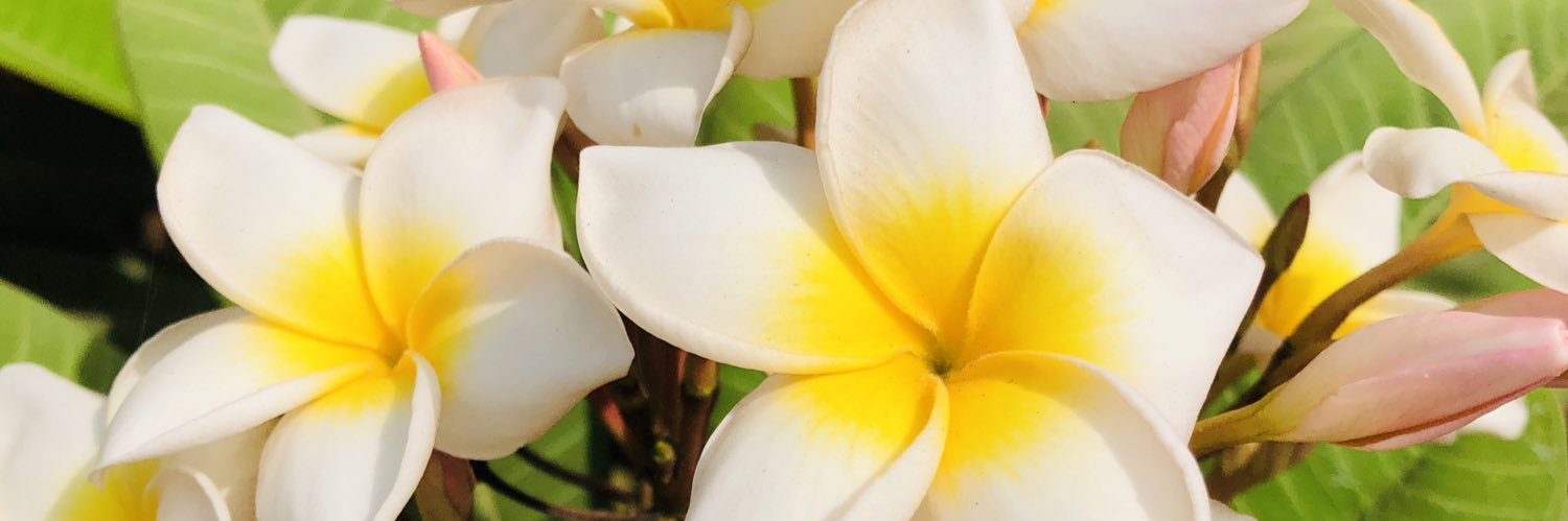 VibesSugar's profile banner image